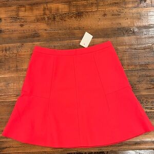 Raspberry Skirt